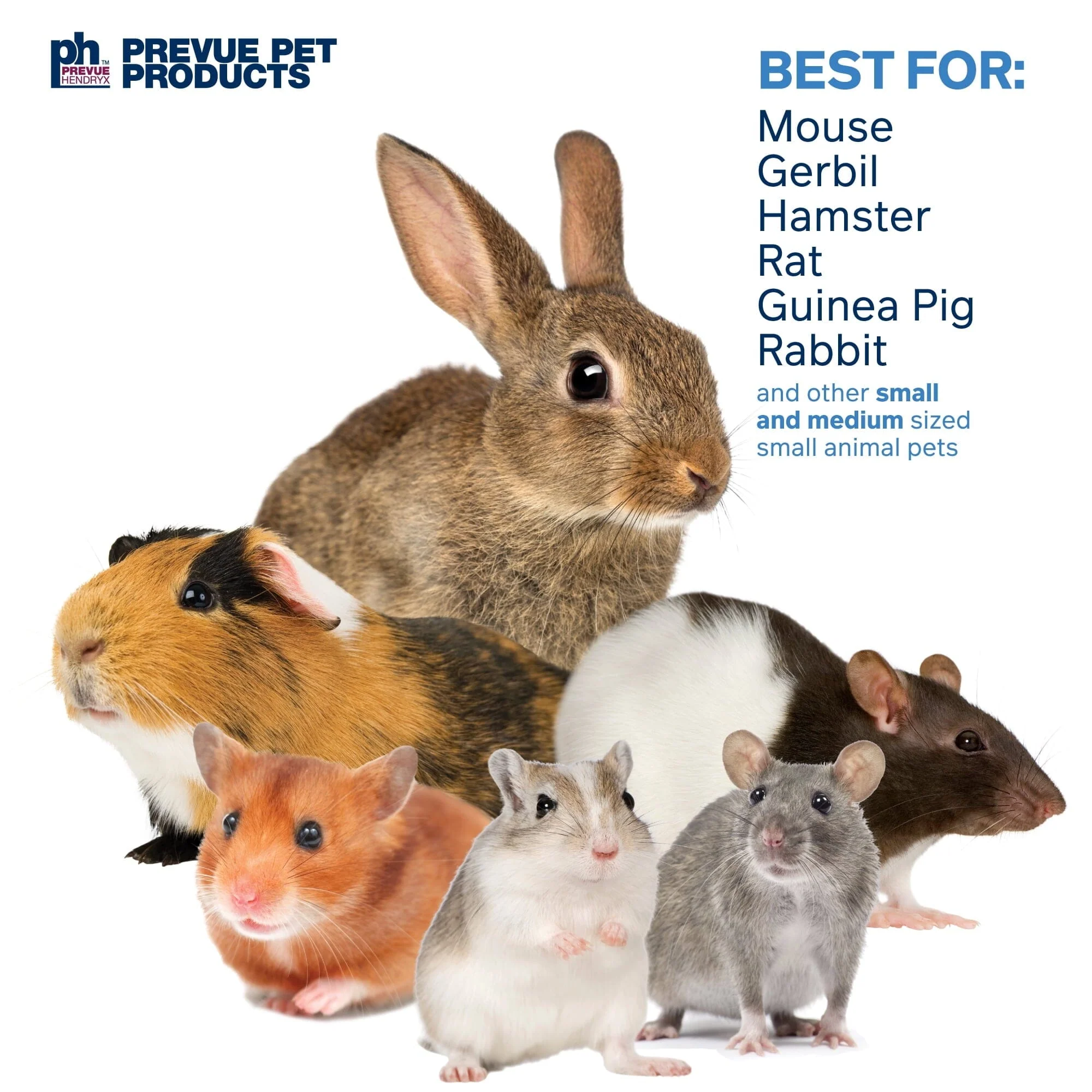 Prevue Pet Products Bunch O' Fun Hanging Small Animal Chew Toy - Image 3