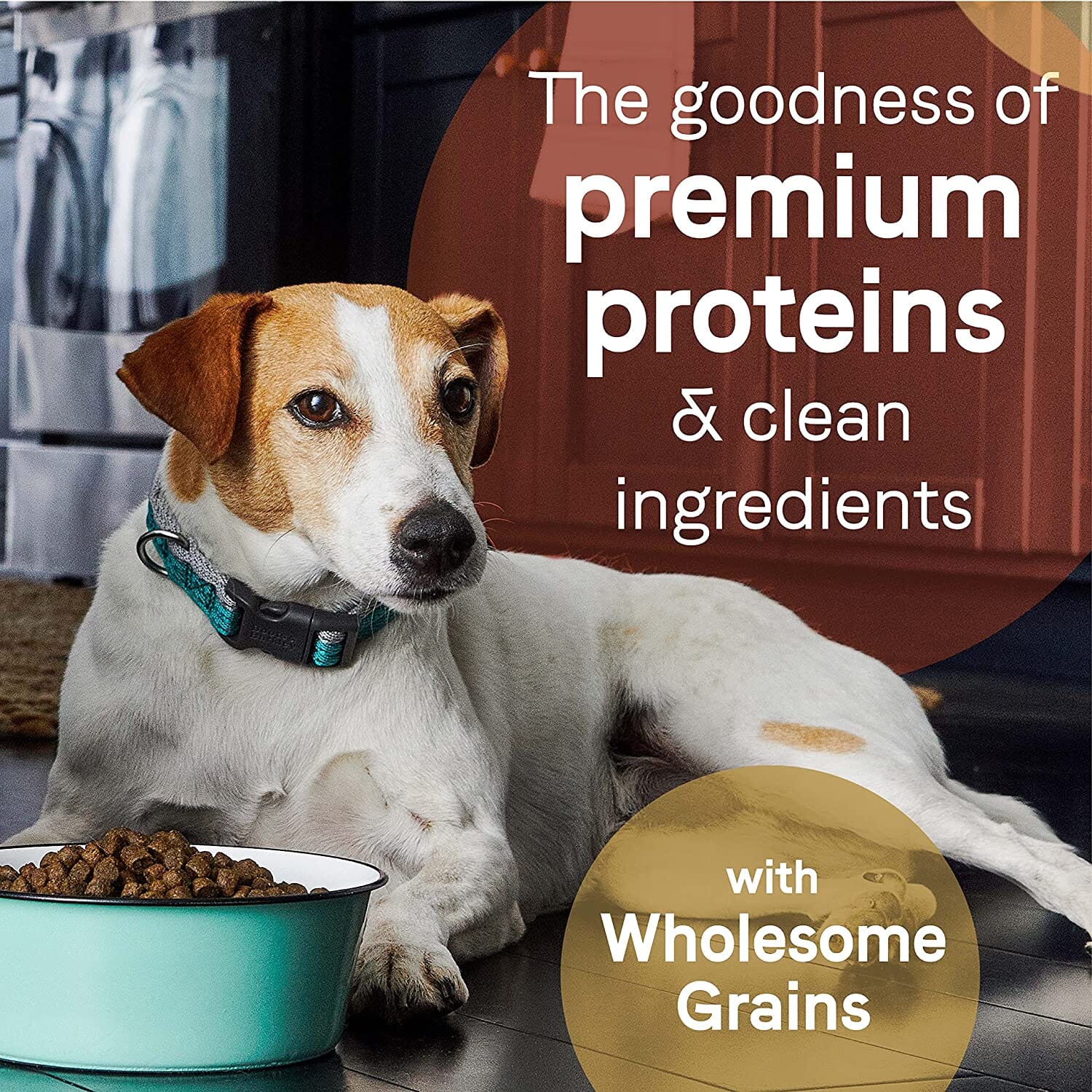 Pure Dog Food with Wholesome Grains Dry Dog Food - Salmon and Barley - 24 Lbs - Image 4