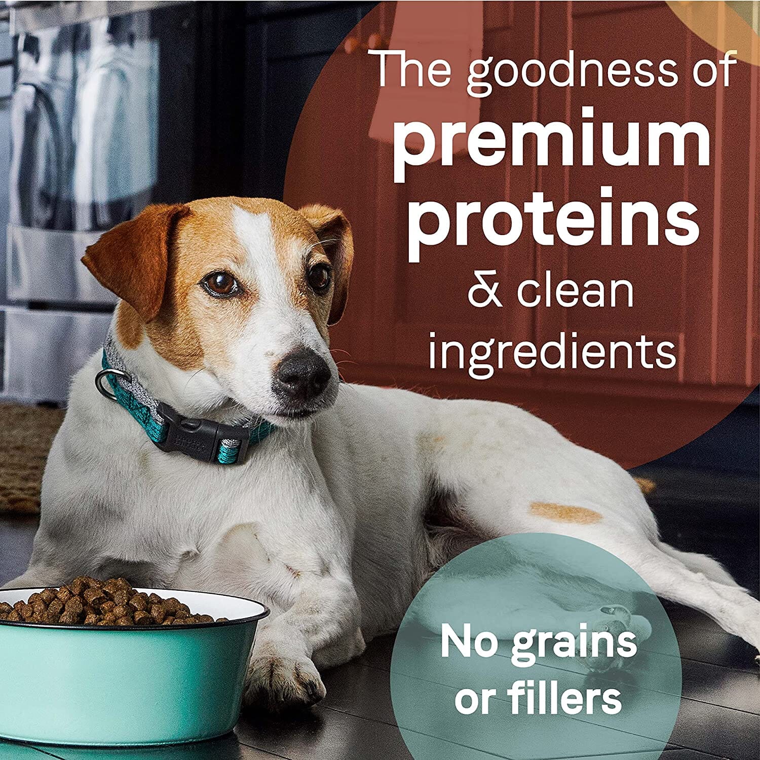 Pure Grain-Free Dry Dog Food - Lamb Buffalo and Venison - 4 Lbs - Image 5