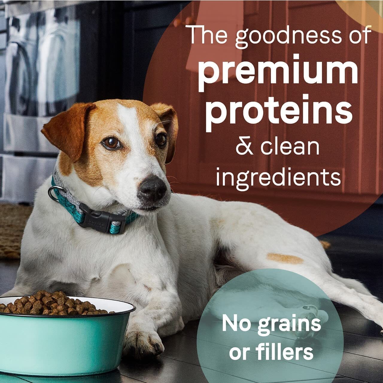 Pure Wild Grain-Free Dry Dog Food - Boar and Garbanzo Beans - 4 Lbs - Image 2
