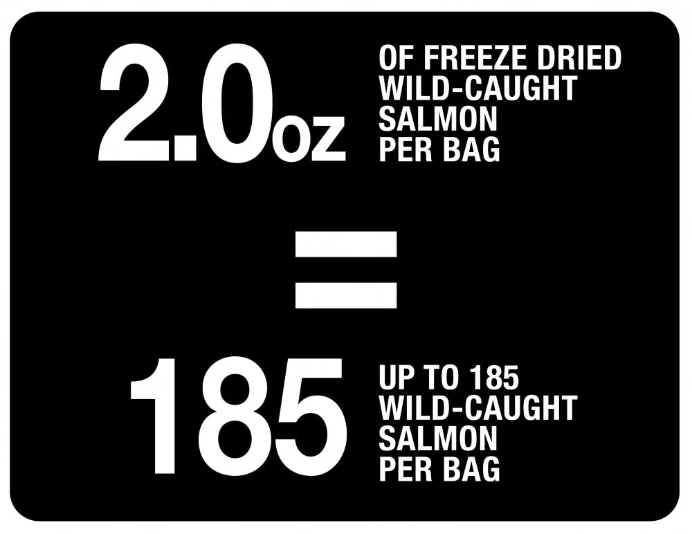 PureBites Salmon Freeze Dried Cat Treats - Image 3