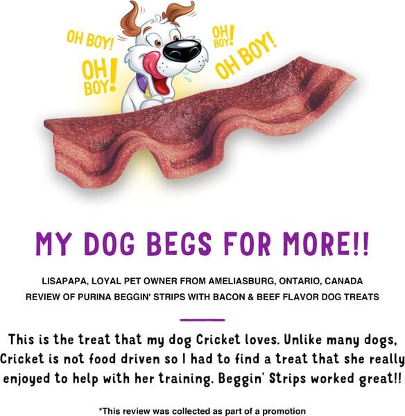 Purina Beggin' Strips Bacon and Beef Chewy Jerky Dog Treats - 25 Oz - 4 Pack - Image 7