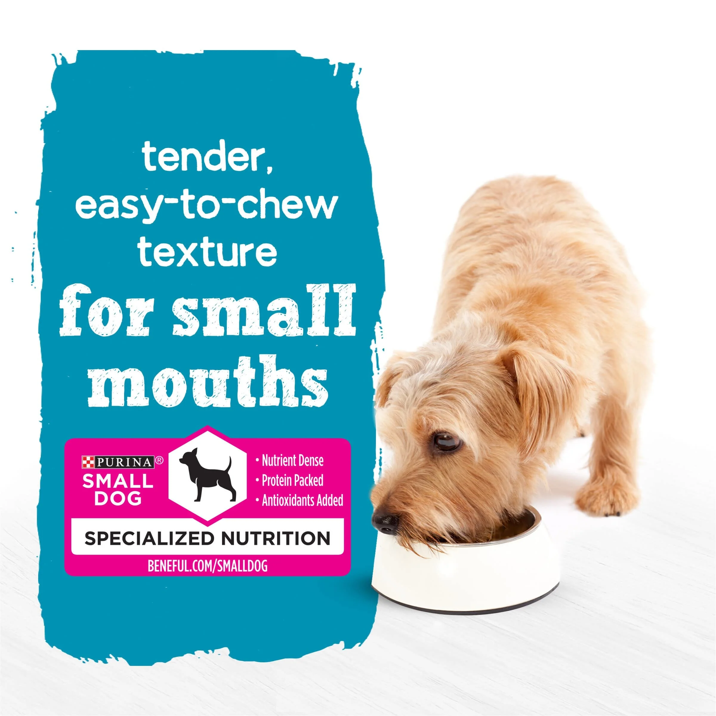 Purina Beneful Beef Porterhouse Steak in Gravy Pate Small-Breed Wet Dog Food Trays - 3.5 Oz - Case of 12 - Image 3