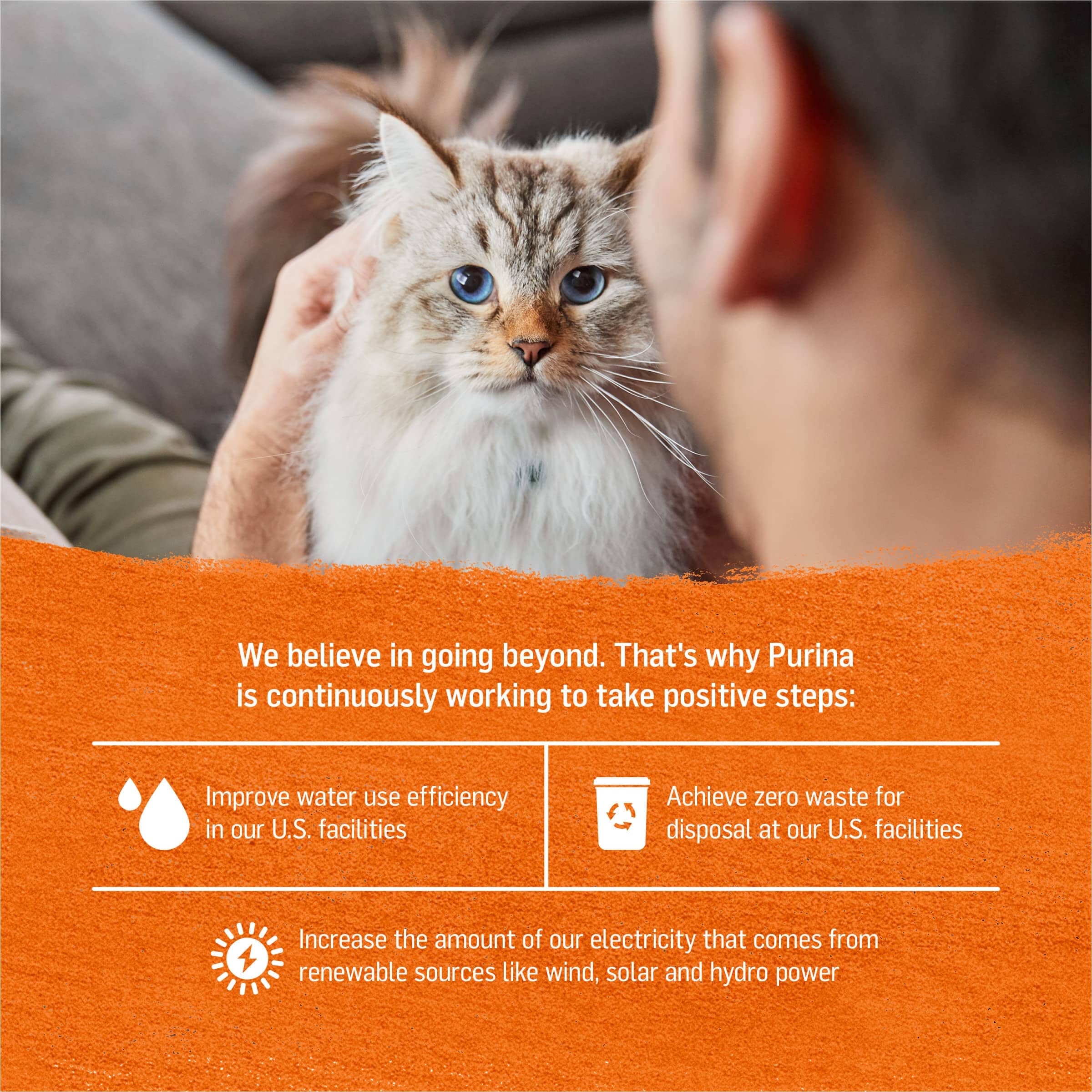 Purina Beyond Grain-Free Chicken and Sweet Potato Pate Canned Cat Food - 3 Oz - Case of 12 - Image 5