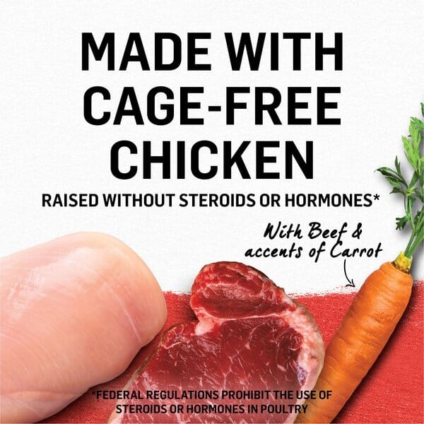 Purina Beyond Grain-Free Chicken, Beef & Carrot Recipe in Gravy Canned Cat Food - Image 2