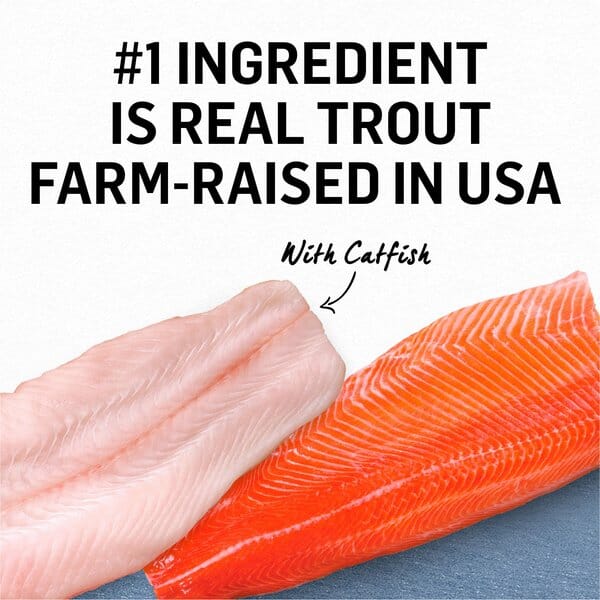 Purina Beyond Grain-Free Trout & Catfish Pate Recipe Canned Cat Food - Image 2