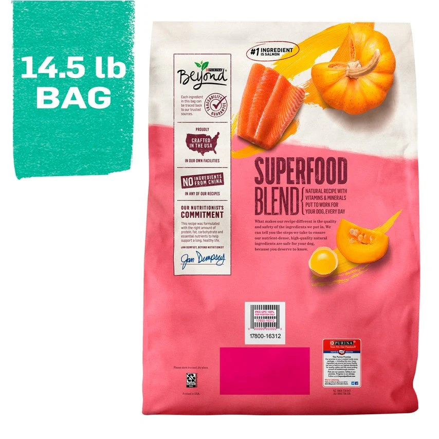 Purina Beyond Superfood Blend Salmon, Egg, and Pumpkin Recipe Dry Dog Food - Image 4