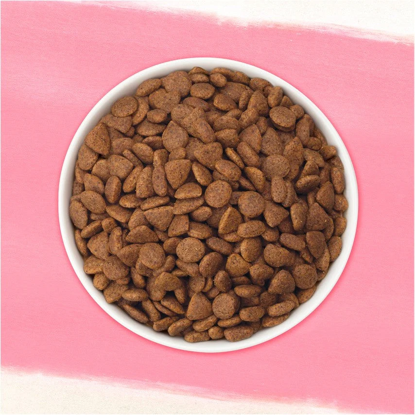 Purina Beyond Superfood Blend Salmon, Egg, and Pumpkin Recipe Dry Dog Food - Image 5
