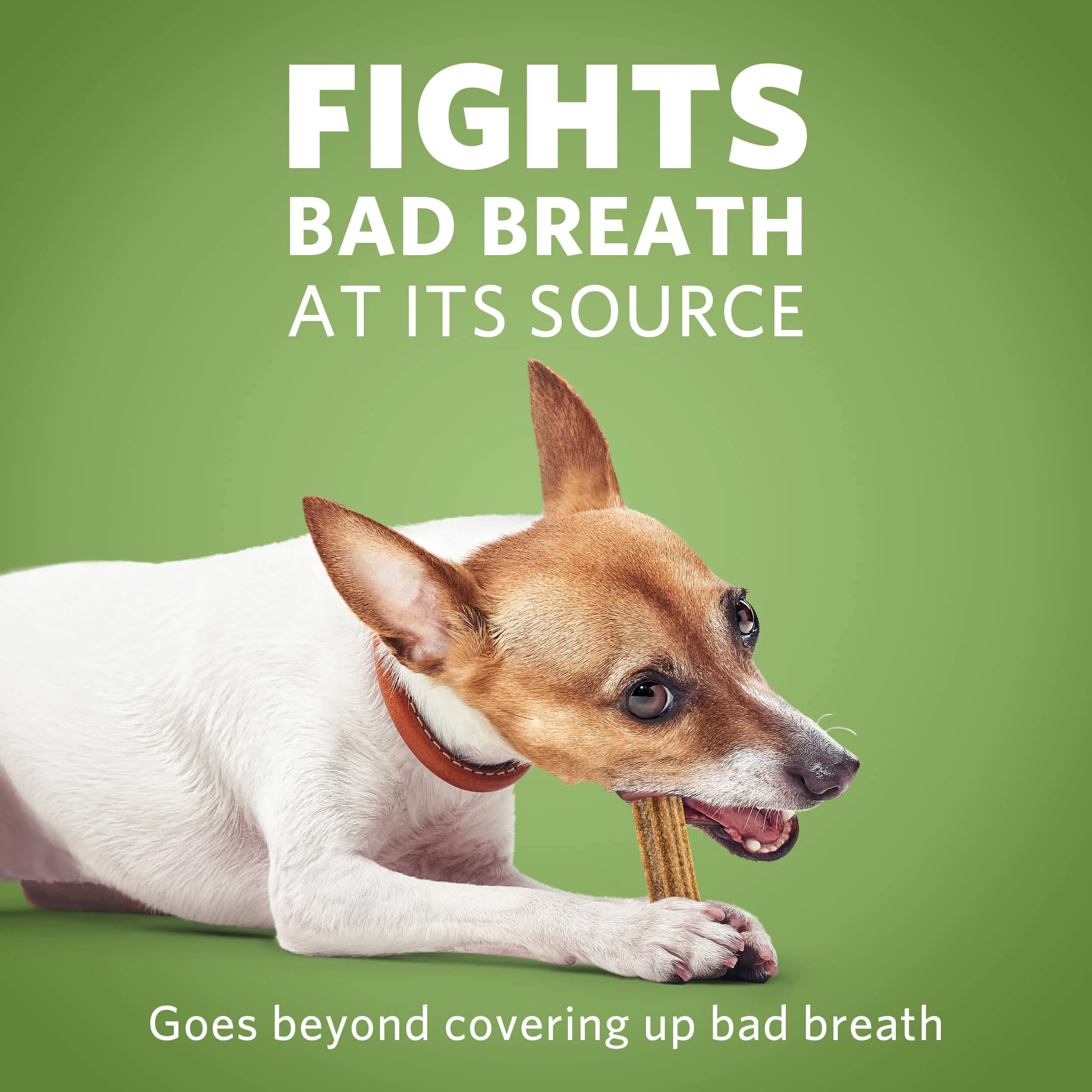 Purina DentaLife ActivFresh Dental Dog Chews - Mini - 16.9 Oz - 4 Pack - Image 3