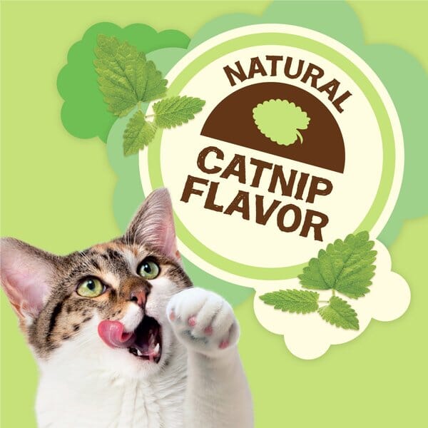 Purina Friskies Party Mix Natural Yums Chicken with Catnip and Vitamins Crunchy Cat Treats - 6 Oz - Case of 6 - Image 3