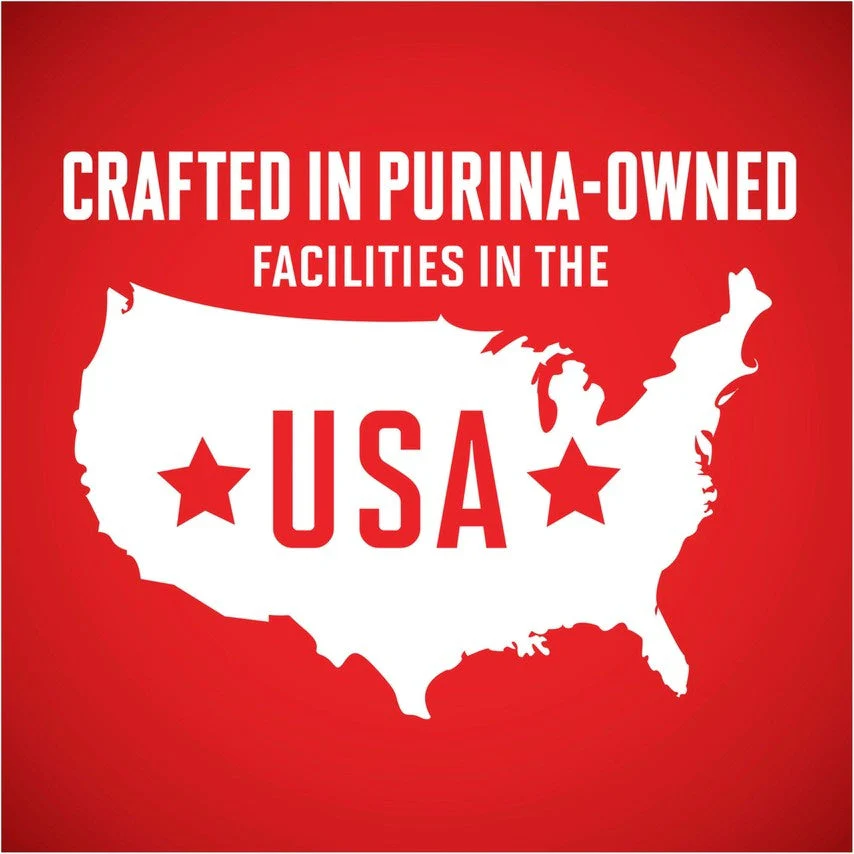 Purina ONE Healthy Puppy Chicken Recipe Dry Dog Food - Image 3