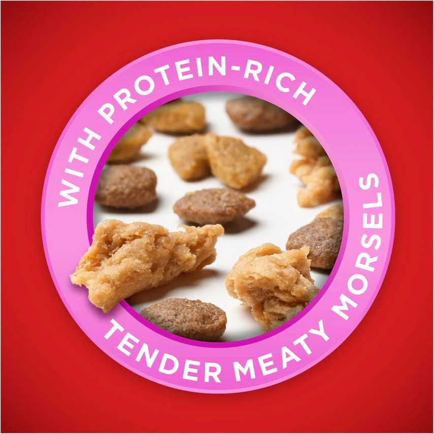 Purina ONE Healthy Puppy Chicken Recipe Dry Dog Food - Image 6