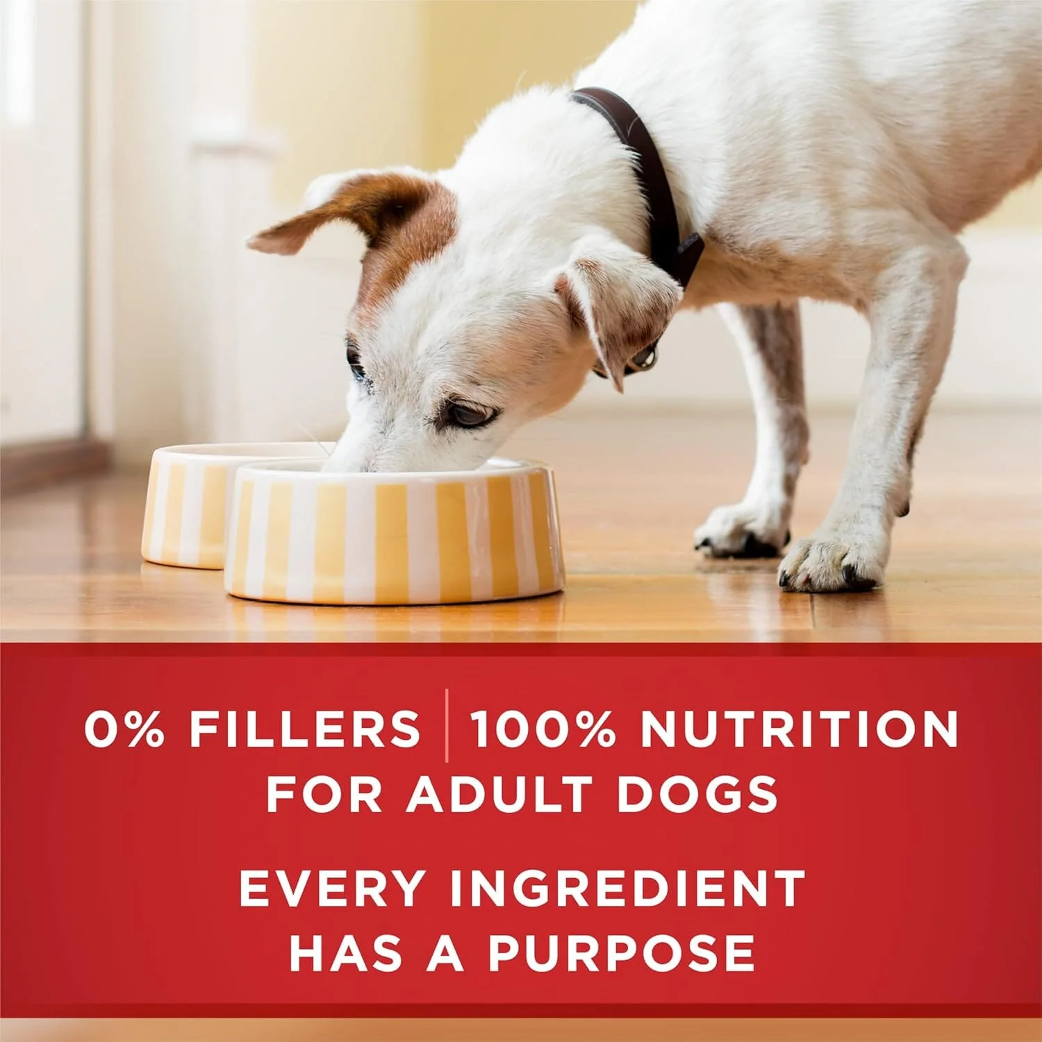 Purina One SmartBlend Classic Ground Chicken and Brown Rice Entrée Adult Canned Dog Food - 13 Oz - Case of 12 - Image 4