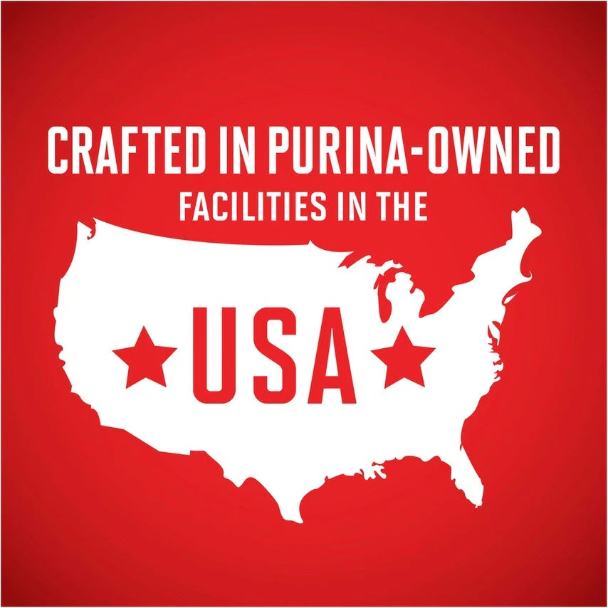 Purina One Wholesome Beef & Brown Rice Entree Canned Dog Food - Image 3