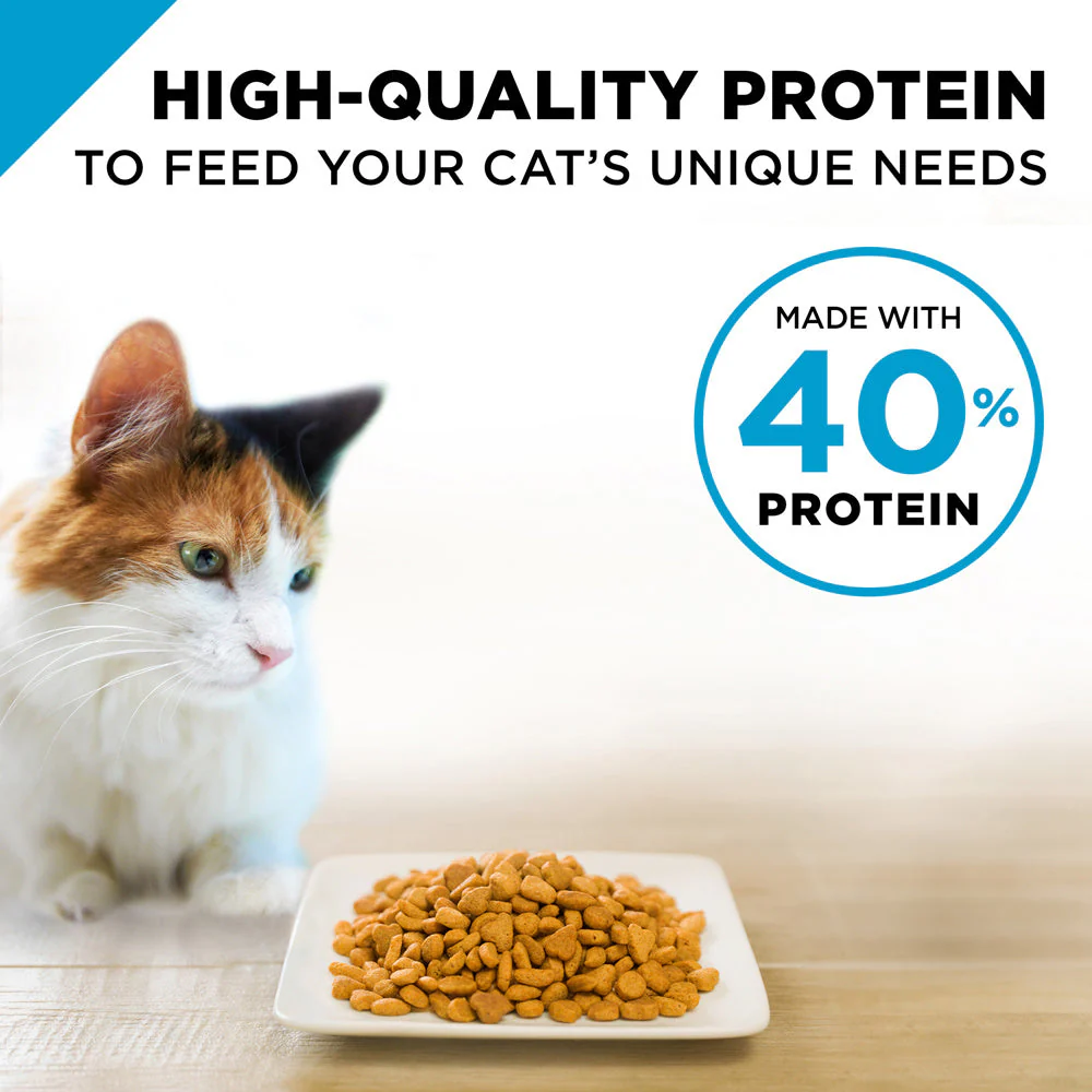 Purina Pro Plan Focus Adult Sensitive Skin & Stomach Lamb & Rice Formula Dry Cat Food - Image 12