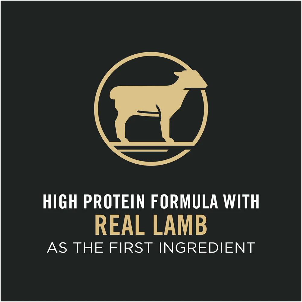 Purina Pro Plan High Protein Sensitive Skin & Stomach Lamb & Rice Formula Dry Cat Food - Image 2