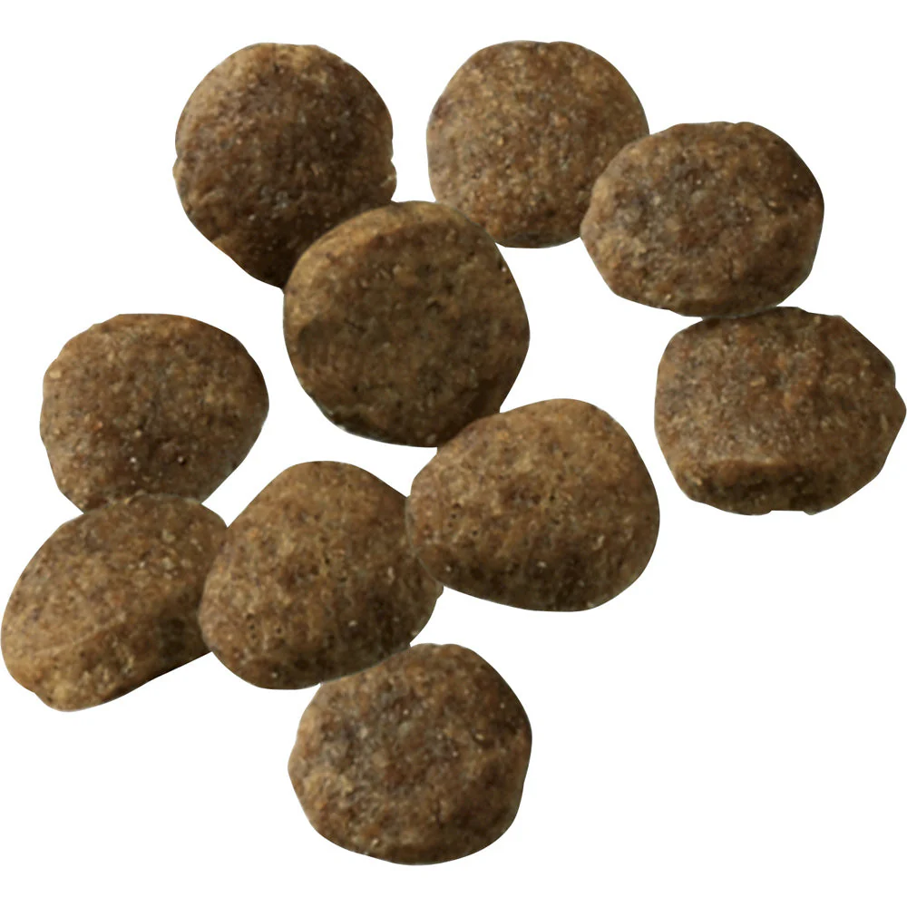 Purina Pro Plan Probiotic Sensitive Stomach Sensitive Skin & Stomach Salmon & Rice Formula Dry Puppy Food - Image 4