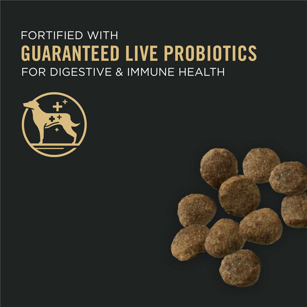 Purina Pro Plan Probiotic Sensitive Stomach Sensitive Skin & Stomach Salmon & Rice Formula Dry Puppy Food - Image 7