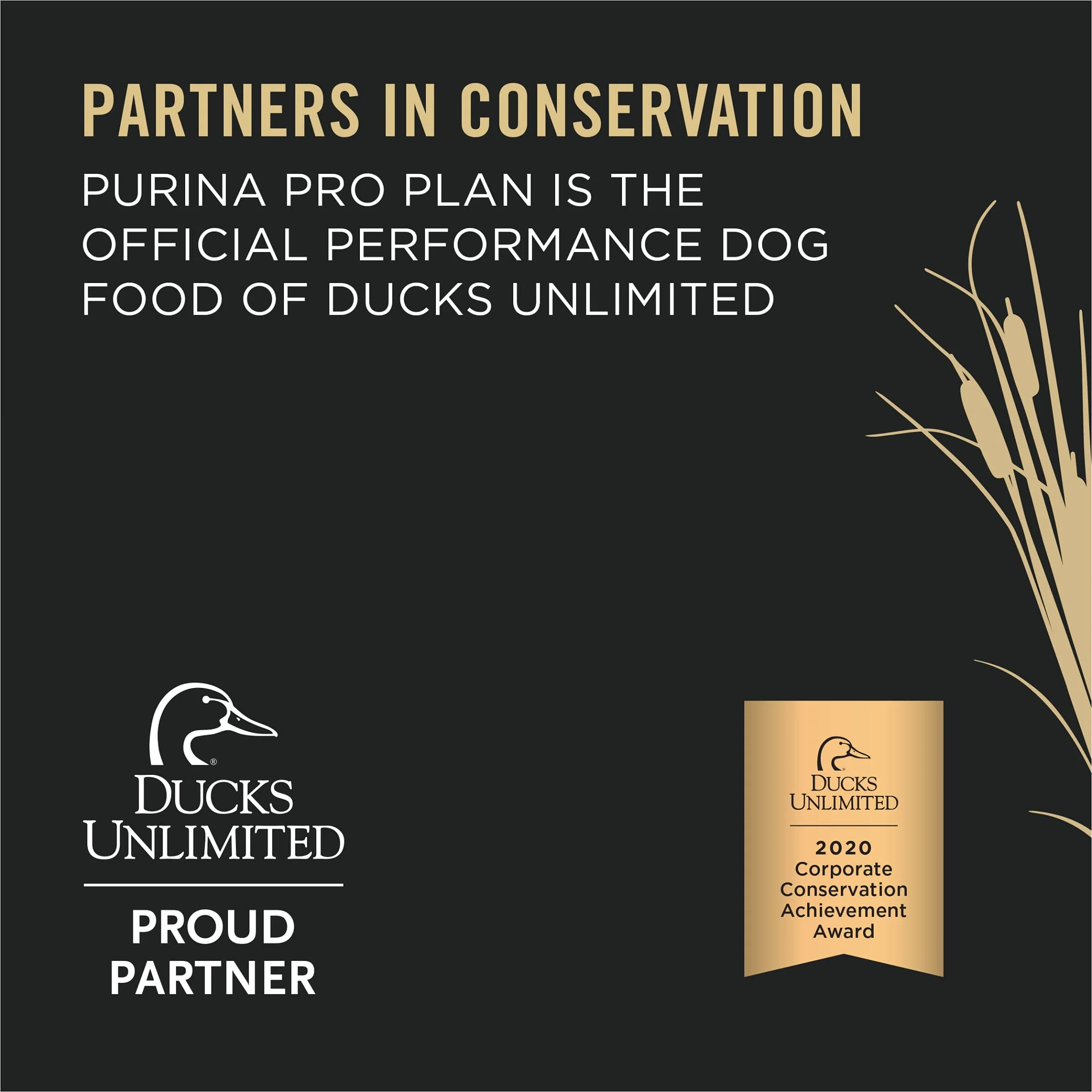 Purina Pro Plan Sport Classic High-Protein Canned Dog Food - Variety Pack - 13 Oz - 12 Count - Image 3