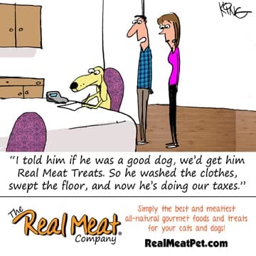 Real Meat Company Grain-Free Lamb and Venison Dog Jerky Treats - Image 2
