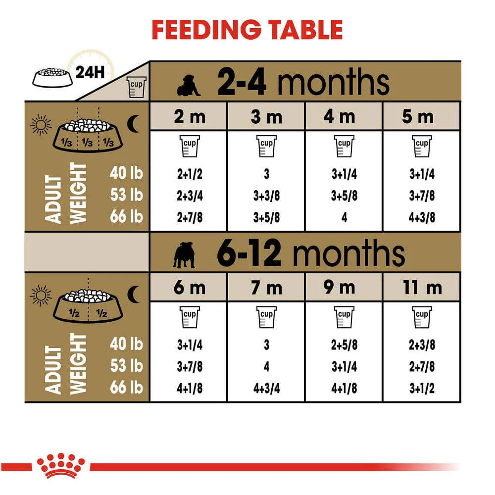 Royal Canin Breed Health Nutrition Bulldog Puppy Dry Dog Food - Image 3