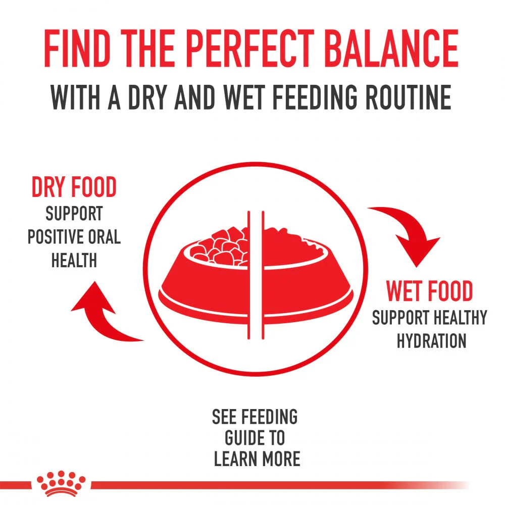 Royal Canin Breed Health Nutrition Chihuahua Puppy Dry Dog Food - Image 11