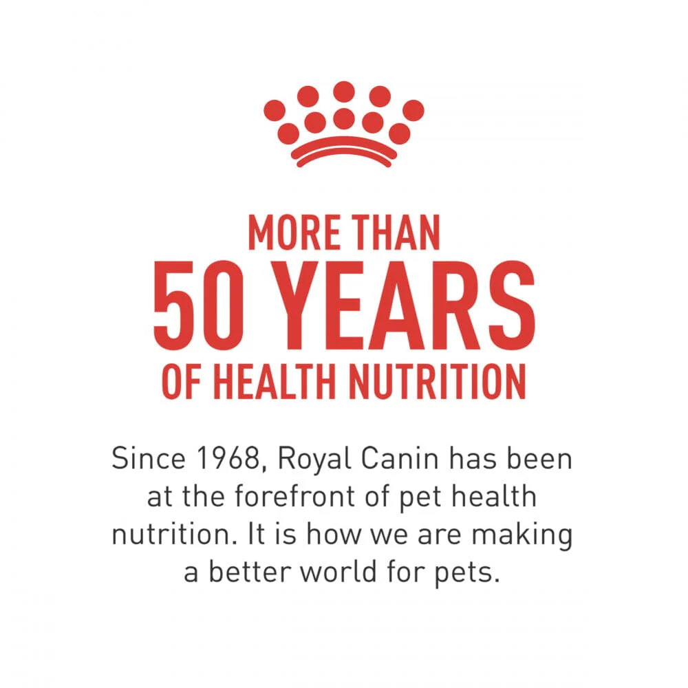 Royal Canin Breed Health Nutrition Chihuahua Puppy Dry Dog Food - Image 8