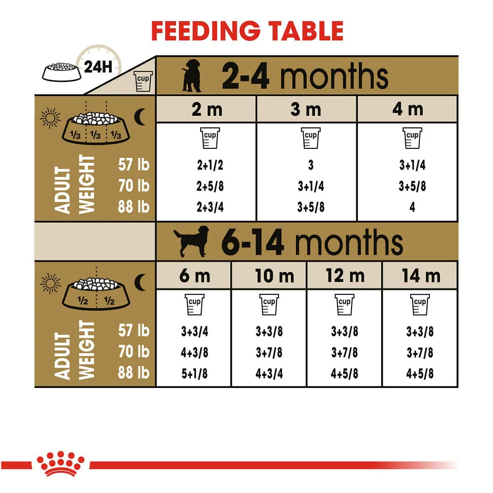 Royal Canin Breed Health Nutrition Labrador Retriever Puppy Dry Dog Food - Image 2