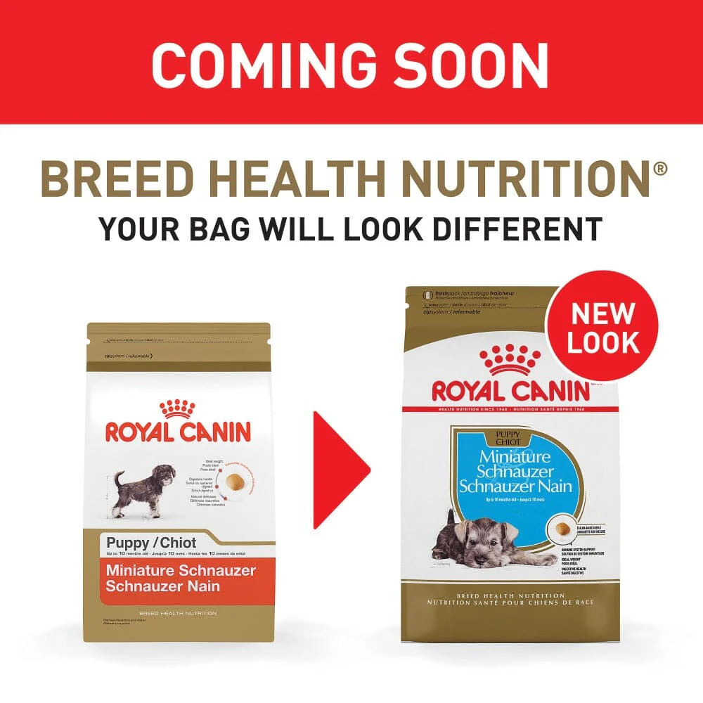 Royal Canin Breed Health Nutrition Miniature Schnauzer Puppy Dry Dog Food - Image 2