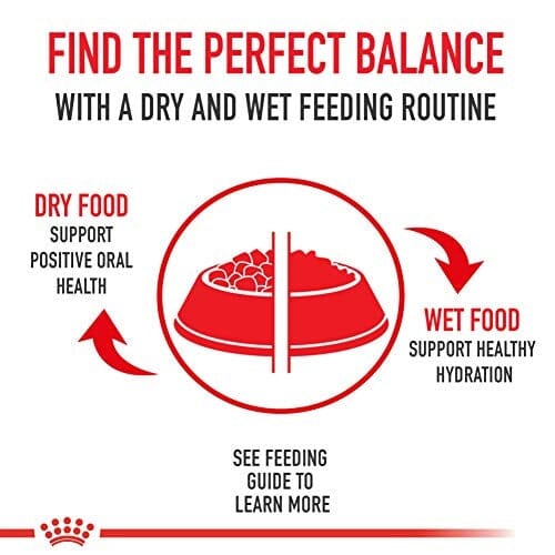 Royal Canin Breed Health Nutrition Shih Tzu Loaf in Sauce Adult Canned Dog Food - 3 Oz - Case of 24 - Image 2