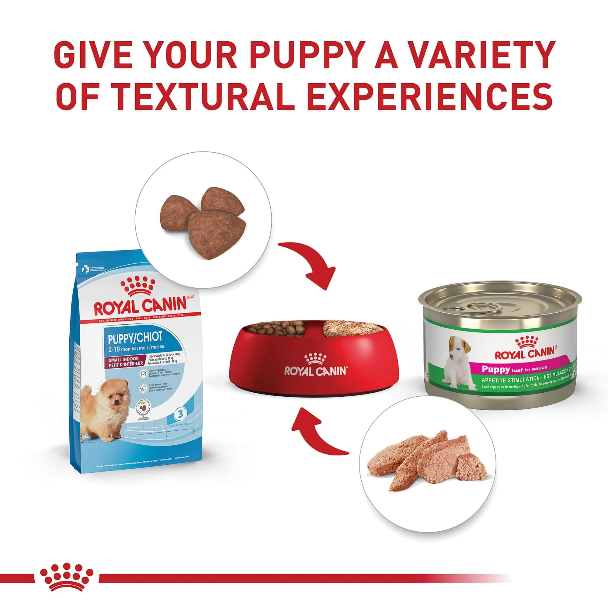 Royal Canin Size Health Nutrition Indoor Small-Breed Puppy Dry Dog Food - 2.5 Lbs - Image 4