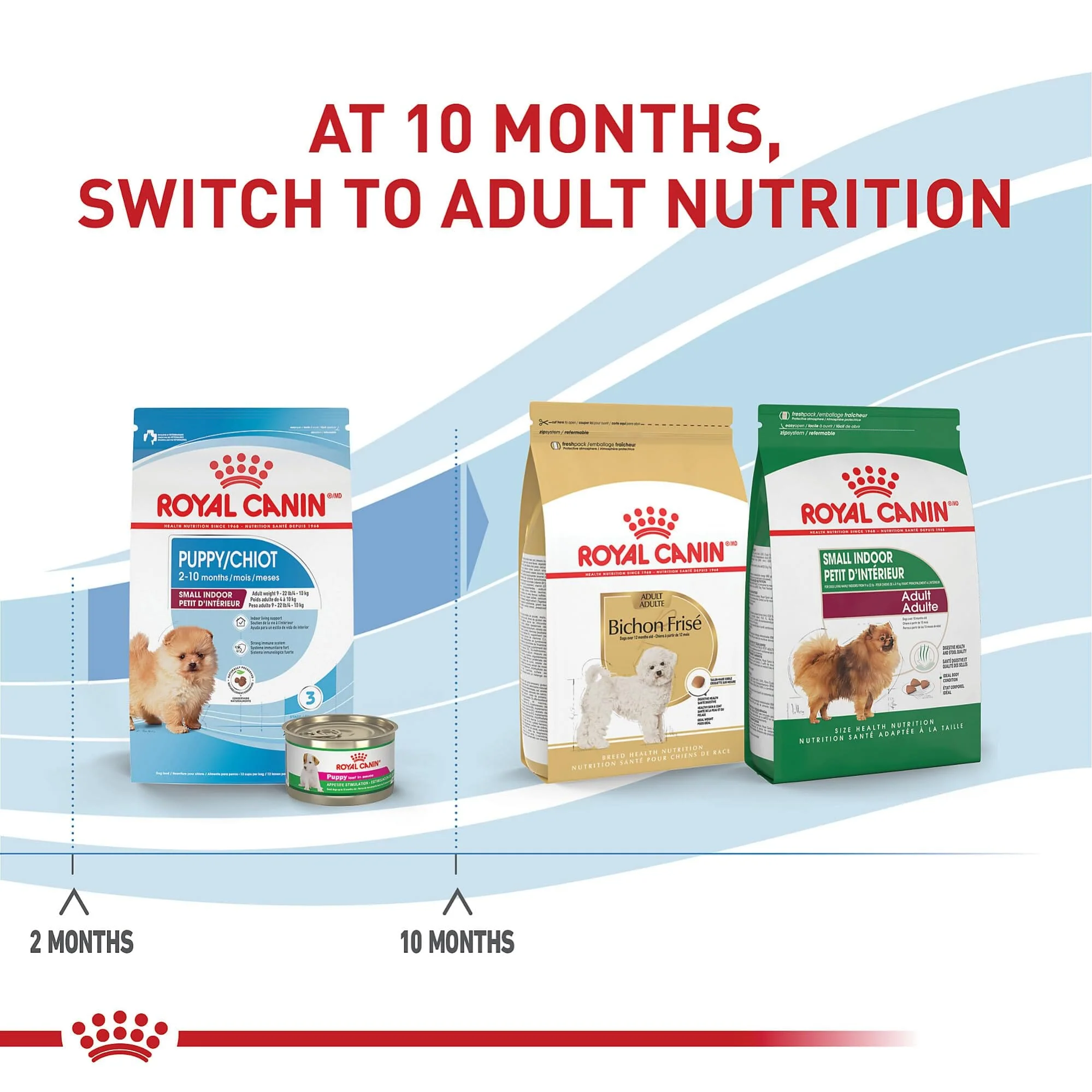 Royal Canin Size Health Nutrition Indoor Small-Breed Puppy Dry Dog Food - 2.5 Lbs - Image 5