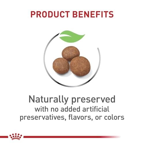 Royal Canin Size Health Nutrition Large-Breed Puppy Dry Dog Food - 4 Lbs - Image 3