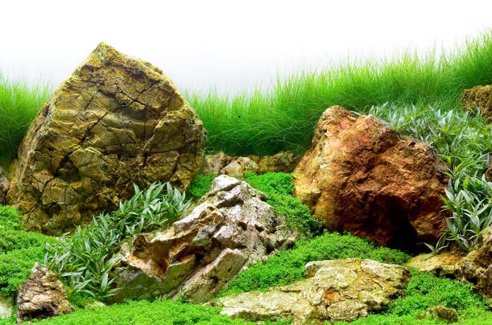 Seaview Double Sided Background River Rock & Sea of Green - 12 in X 50 ft - Image 2