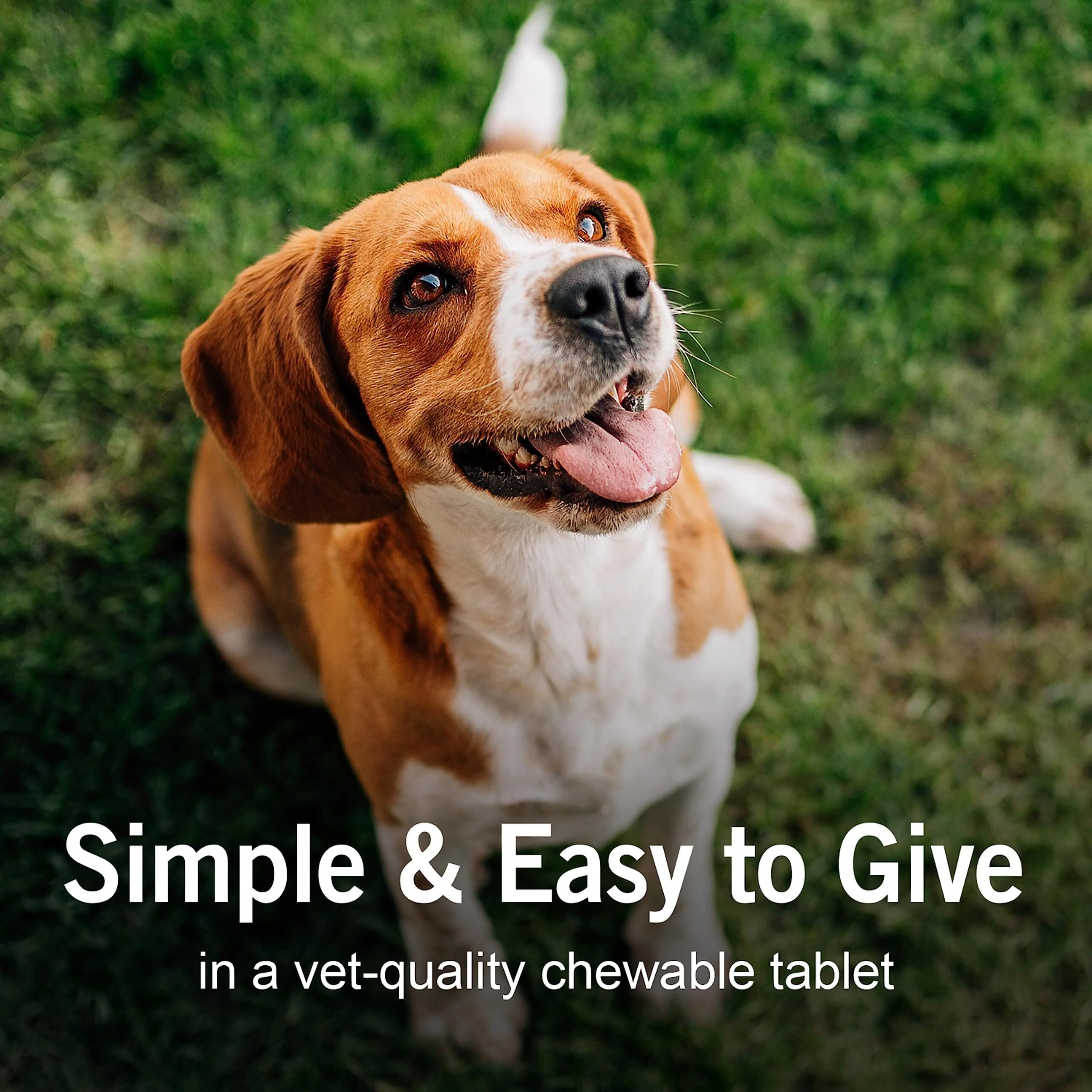 Sentry WormX + 7 Way De-Wormer Tablets for Medium and Large Dogs - 6 Count - Image 4