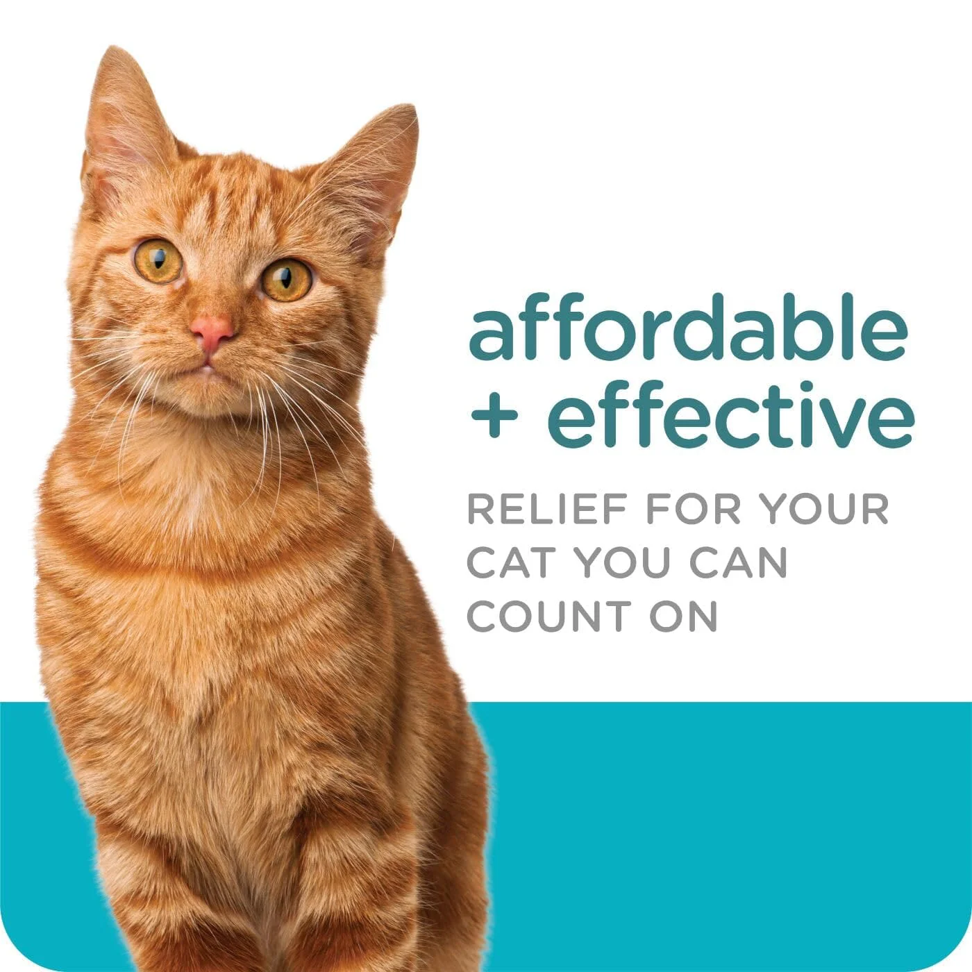 Sergeant's Flea and Tick Silver Squeeze On for Cats Over 5 Lbs - 3 Count - Image 3