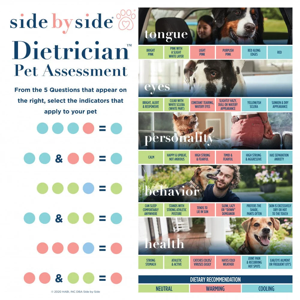 Side By Side Small Batch Freeze Dried Wild Caught Salmon Neutral Dog Treats - Image 3