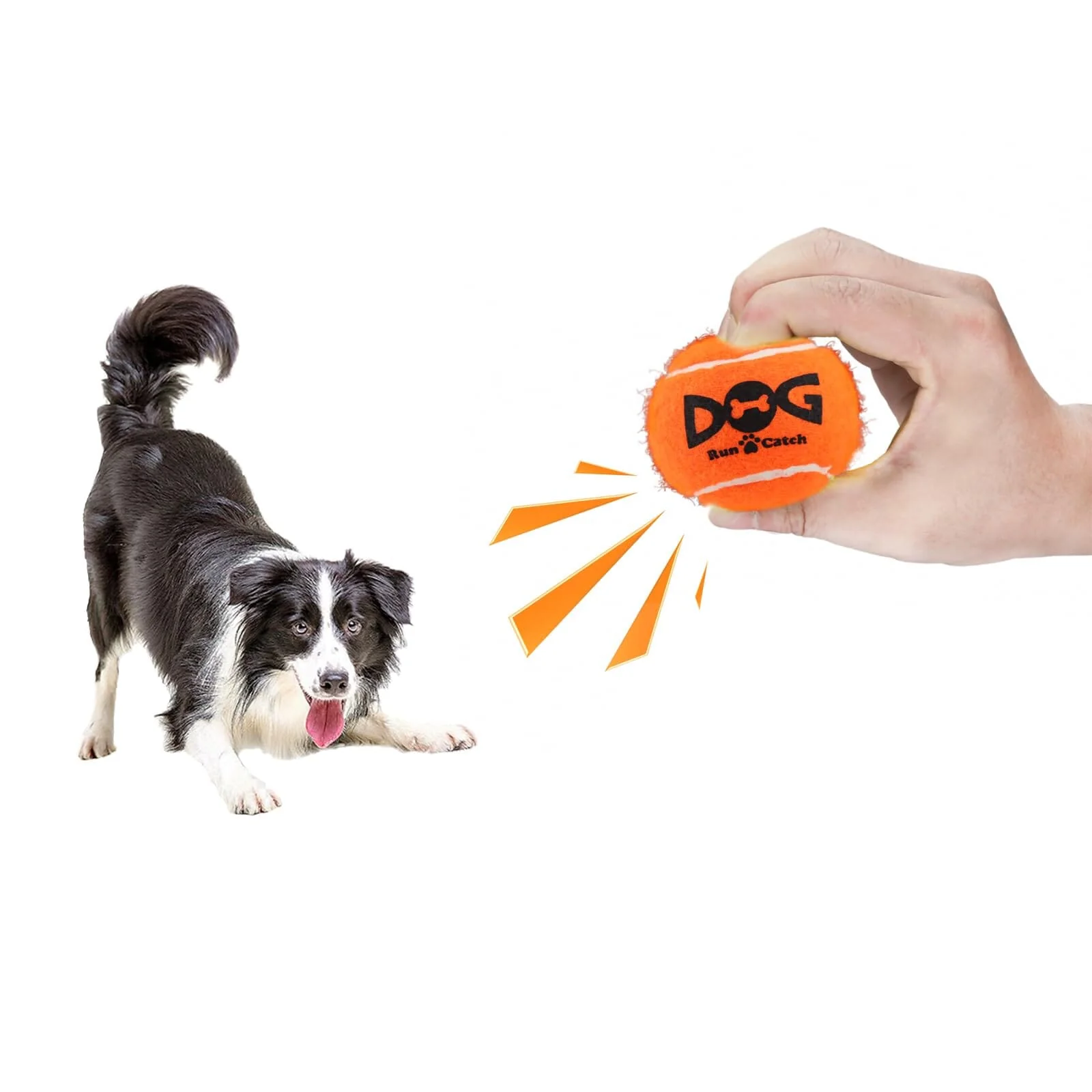 Snugarooz Deep Space Tennis Balls Squeak and Fetch Dog Toys - 3 Pack - Image 2