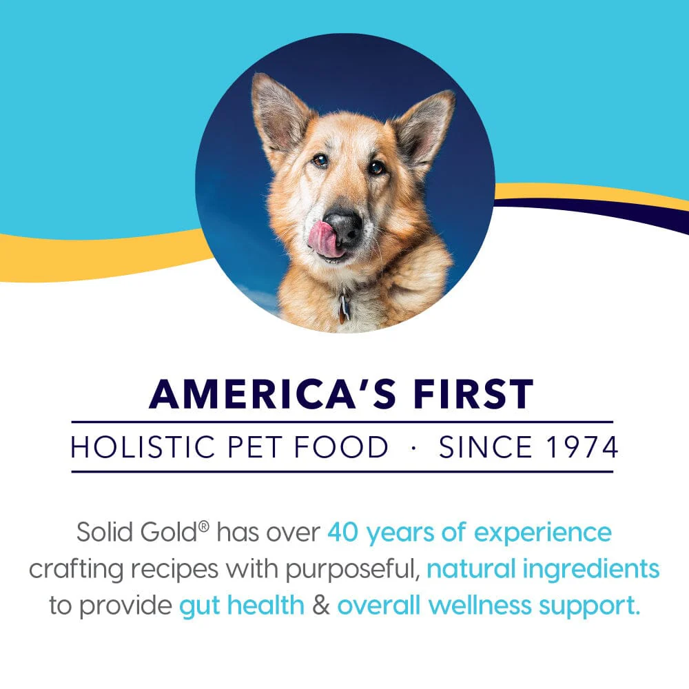 Solid Gold Bone Broth Chicken for Dogs - Image 6