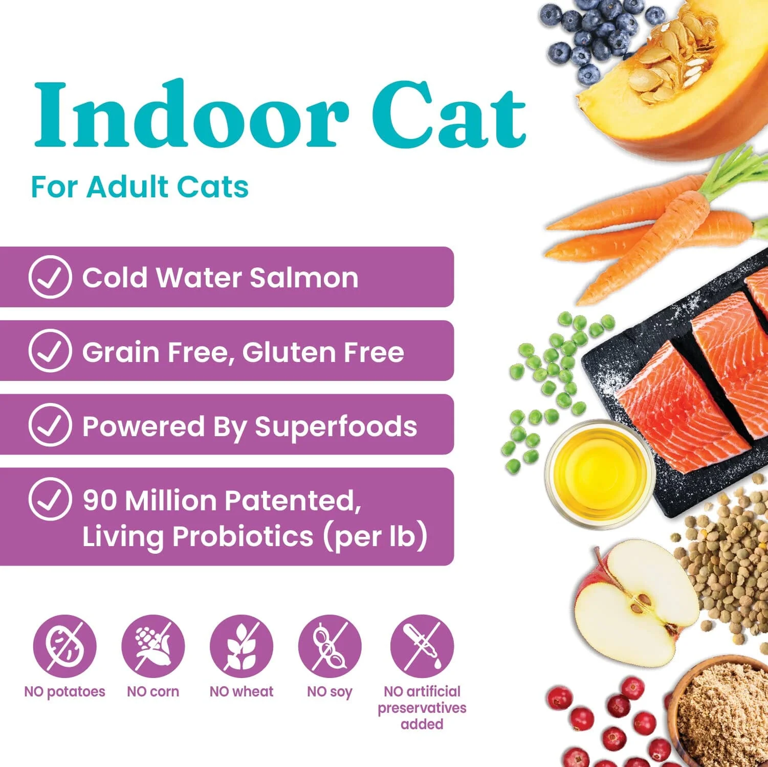 Solid Gold Let's Stay In Grain-Free Salmon Lentils and Applies Indoor Dry Cat Food - 3 Lbs - Image 2