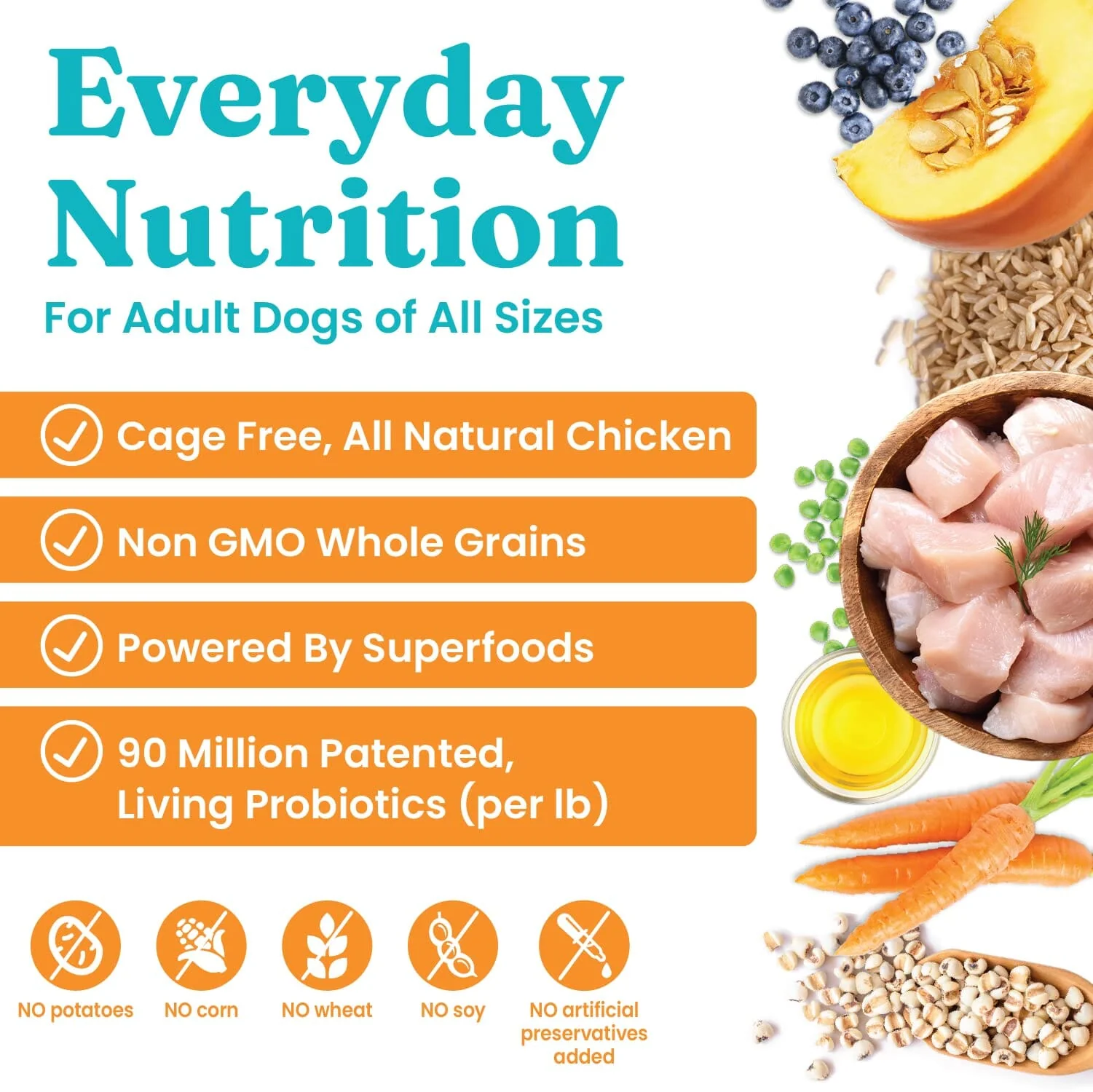 Solid Gold Star Chaser Chicken and Brown Rice with Vegetables Adult Dry Dog Food - 24 Lbs - Image 2