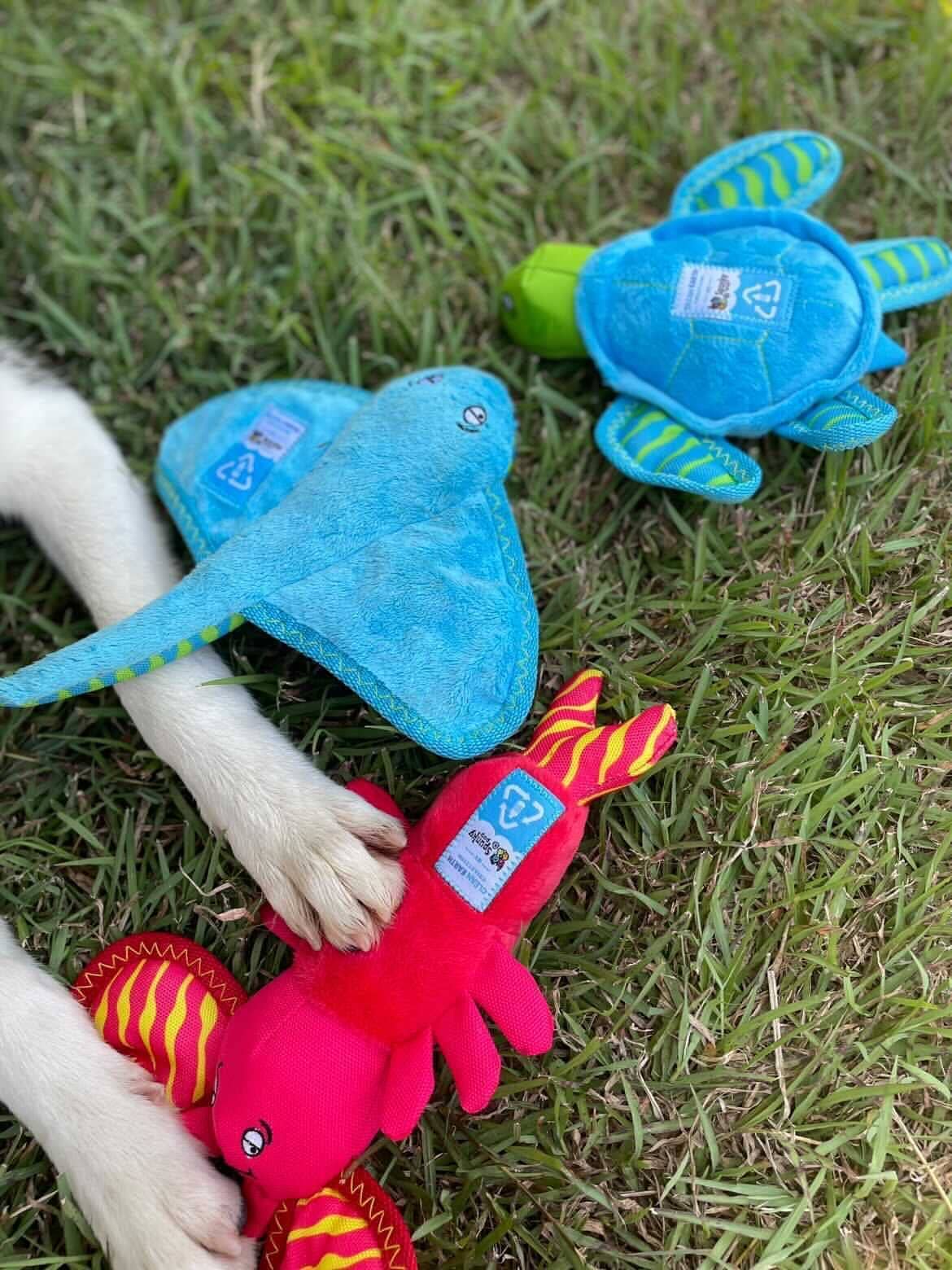 Spunky Pup Clean Earth Collection Turtle Plush Squeak and Plush Dog Toy - Small - Image 3