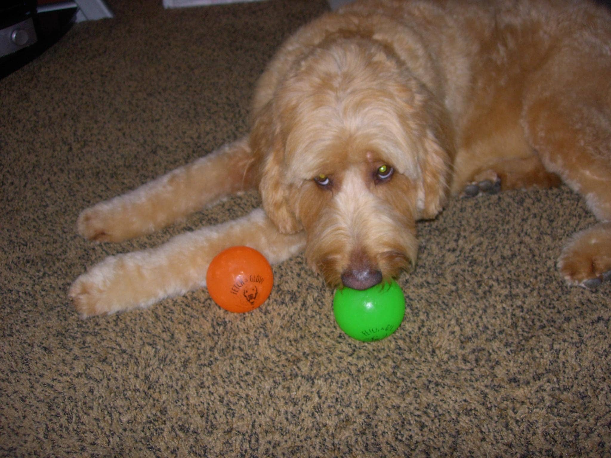 Spunky Pup Fetch and Glow-in-the-Dark Ball Float and Fetch Dog Toy - Large - Image 2