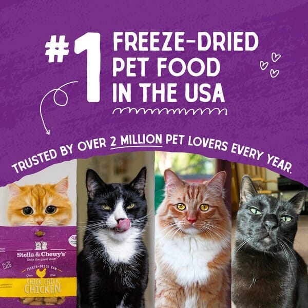 Stella & Chewy's Dinner Morsals Chicken Recipe Freeze-Dried Cat Food - 1O Oz - 8 Pack - Image 3