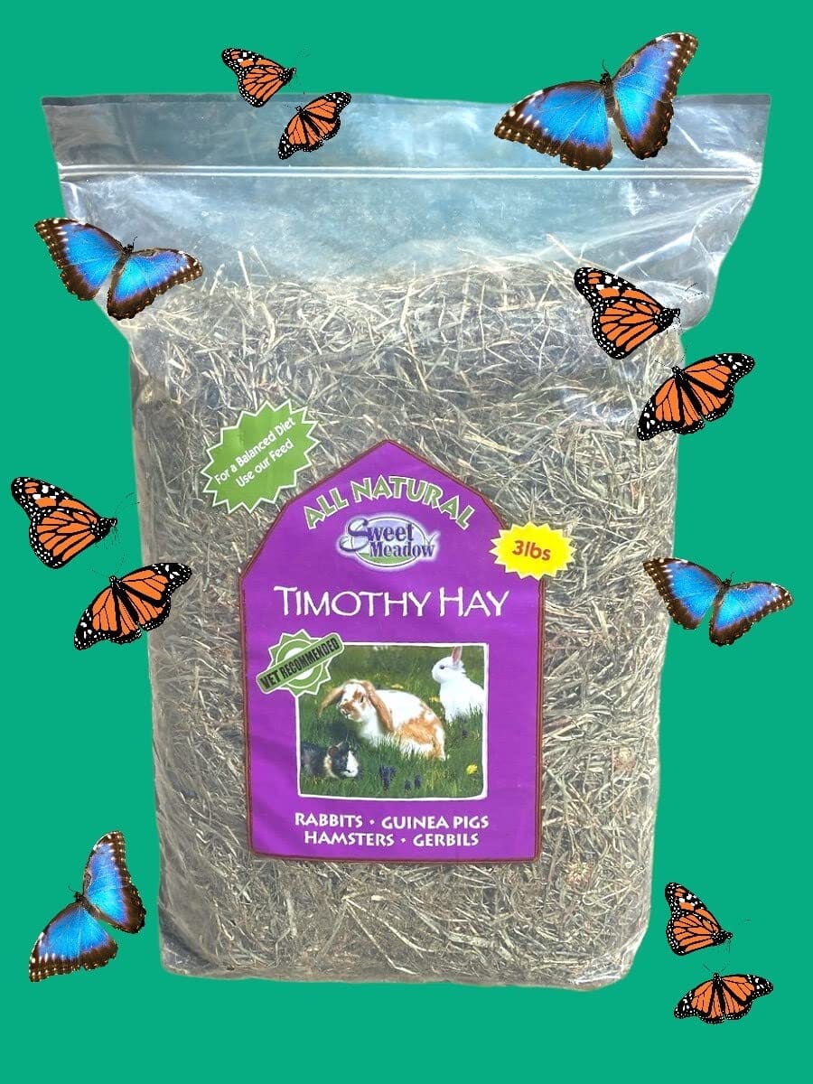 Sweet Meadow All-Natural Timothy Hay for Small Animals - Image 2