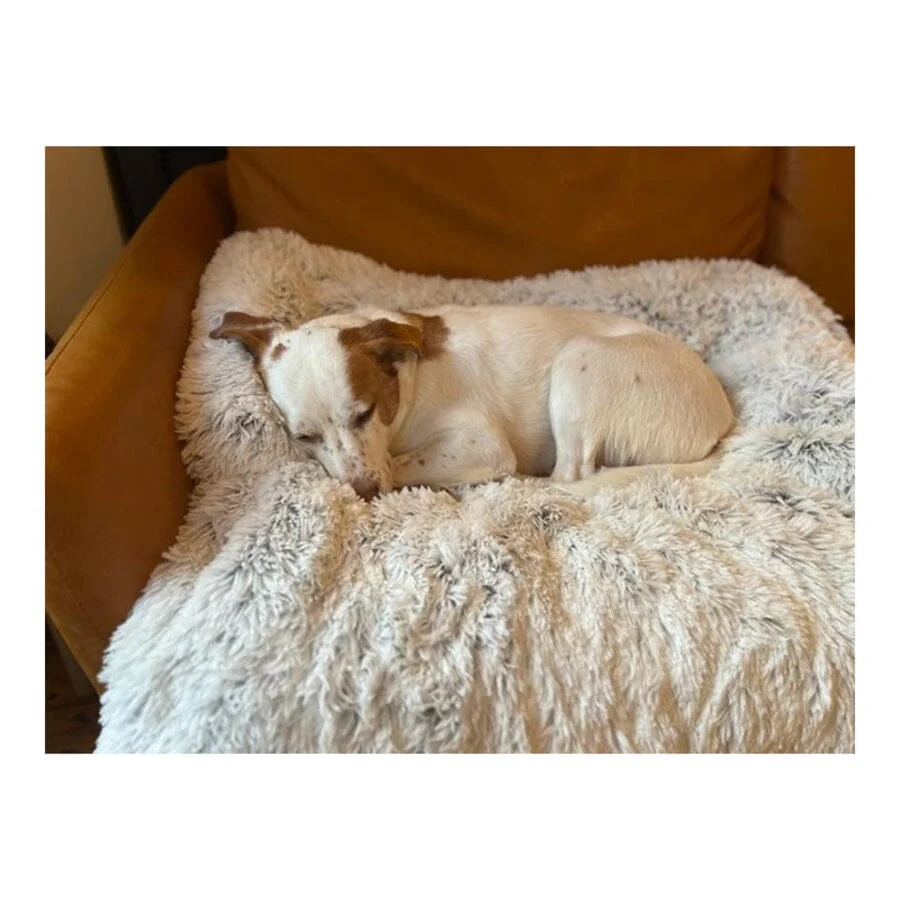 Tall Tails Anywhere Cuddler Couch Cat and Dog Bed - L:34 X W:34 Inch - Image 3