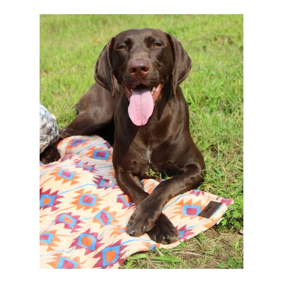 Tall Tails Blanket Southwest Pattern Fleece Dog Blanket - Large - L:40 X W:30 Inch - Image 2