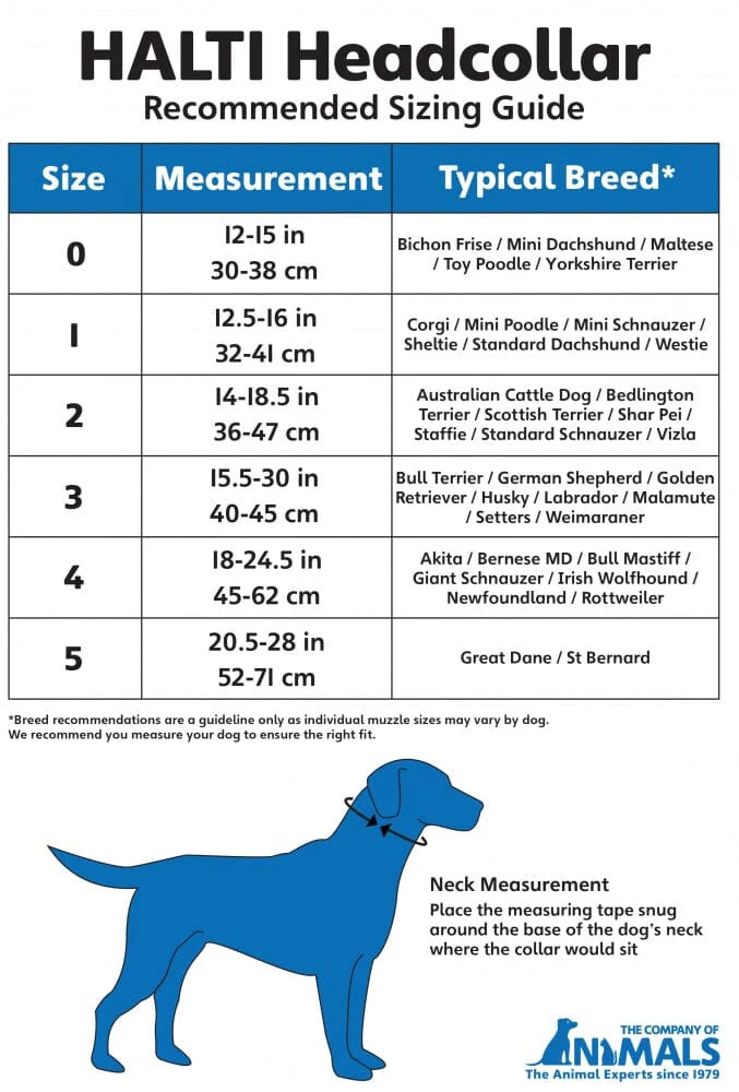 The Company of Animals Halti Headcollar for Dogs - Image 2