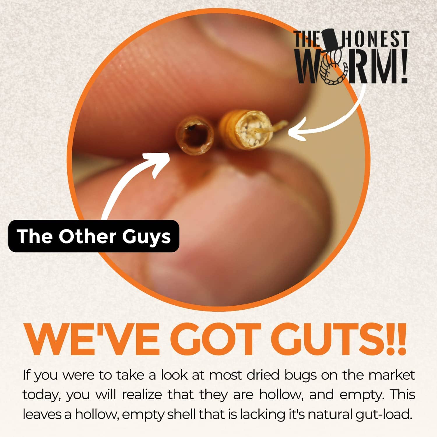 The Honest Worm! The Honest Worm! Wild Bird Magnet Wild Bird Food - 7 Oz - Image 4