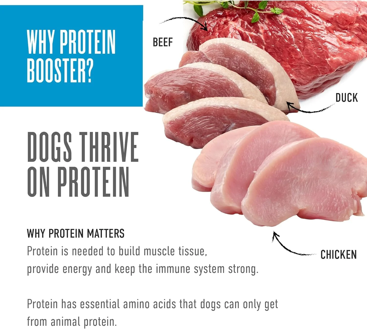 Tiki Dog Born Carnivore Protein Booster Chicken Lamb Duck Egg Beef in Broth Wet Dog Food Topper Pouch - Variety Pack - 2.1 Oz - Case of 12 - Image 4